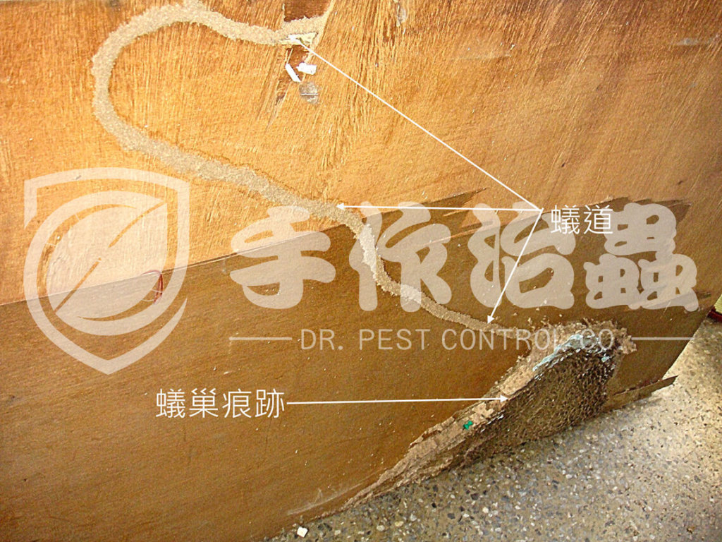 滅白蟻 | 滅白蟻服務｜「手作治蟲滅白蟻公司」DR PEST CONTROL EXPERT-08