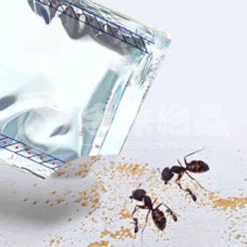 滅蟻方法，如何滅螞蟻，滅螞蟻公司-12